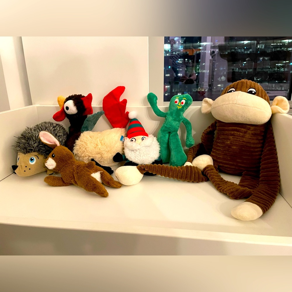 Assortment of dog toys
